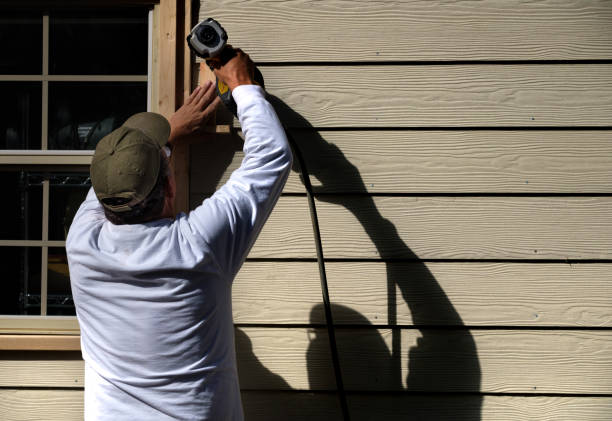 Best Historical Building Siding Restoration  in Rogers, MN